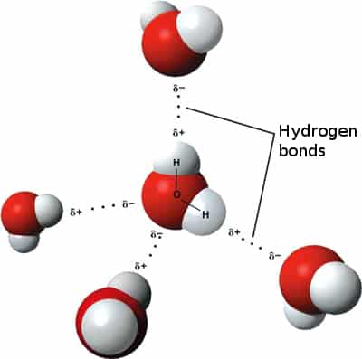 Covalent bonds between hydrogen 