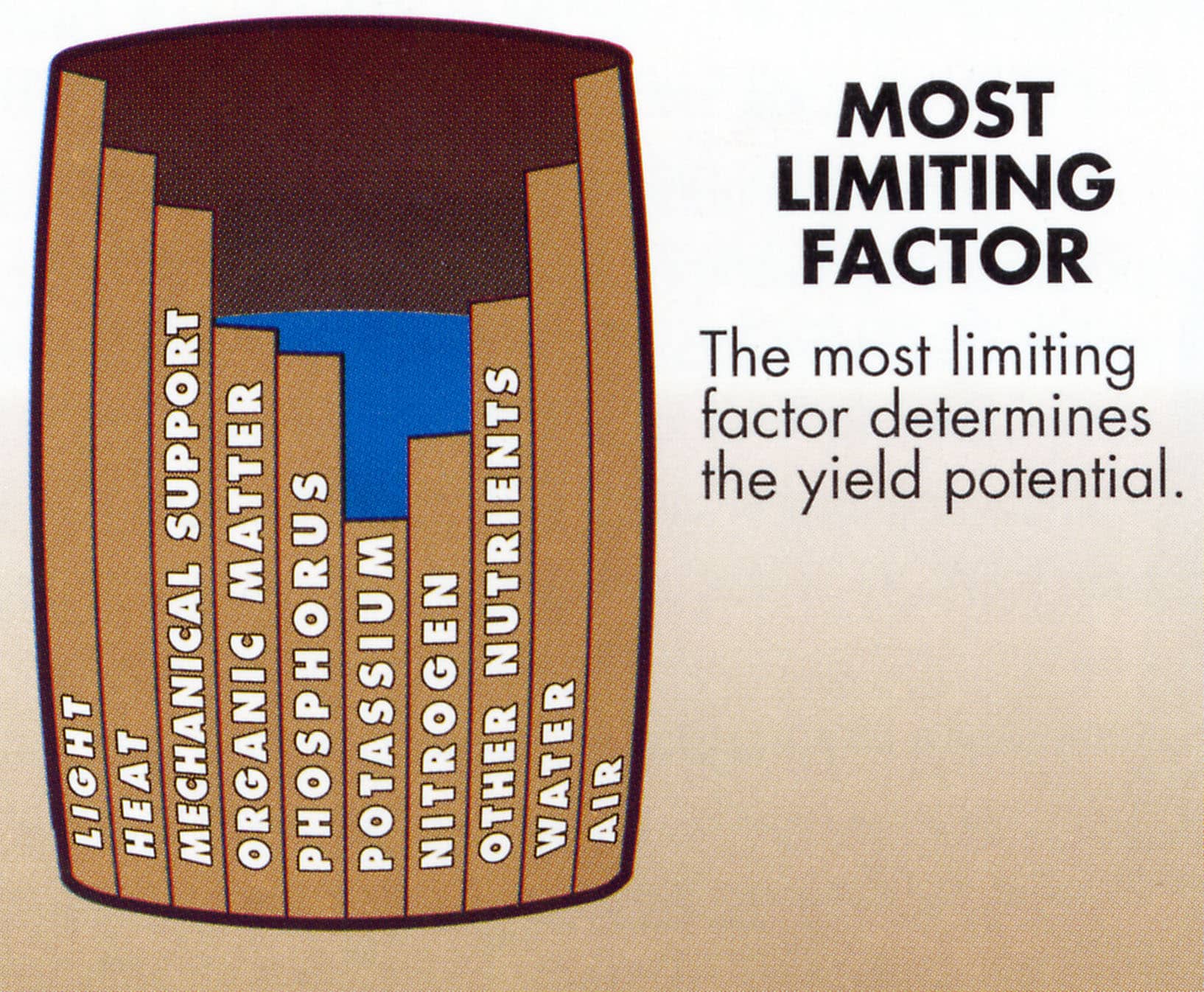 Limiting Factors