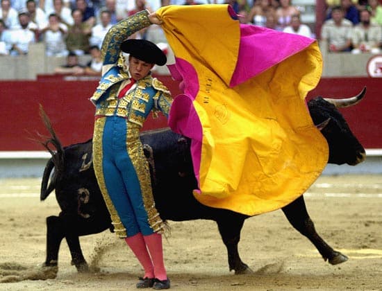 Bullfighter [2000]