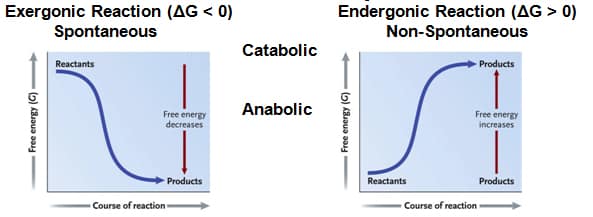 change-in-gibbs-free-energy-of-mixing