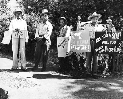 http://schoolworkhelper.net/wp-content/uploads/2012/05/Hawaii-1946-Sugar-Strike.jpg