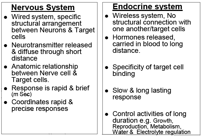 Importance of Hormones in Nervous & Endocrine Systems | Online Homework