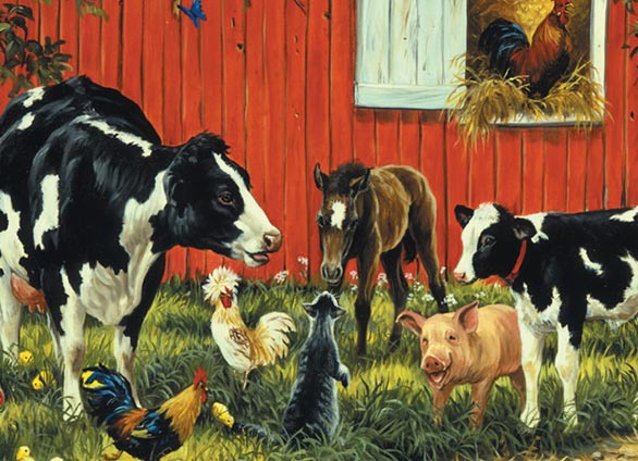 animal farm animals