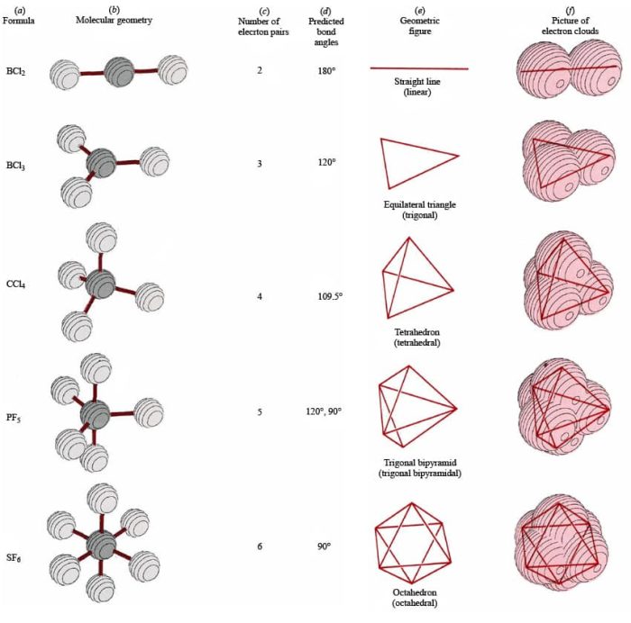 Shapes Of Molecules Schoolworkhelper 7889