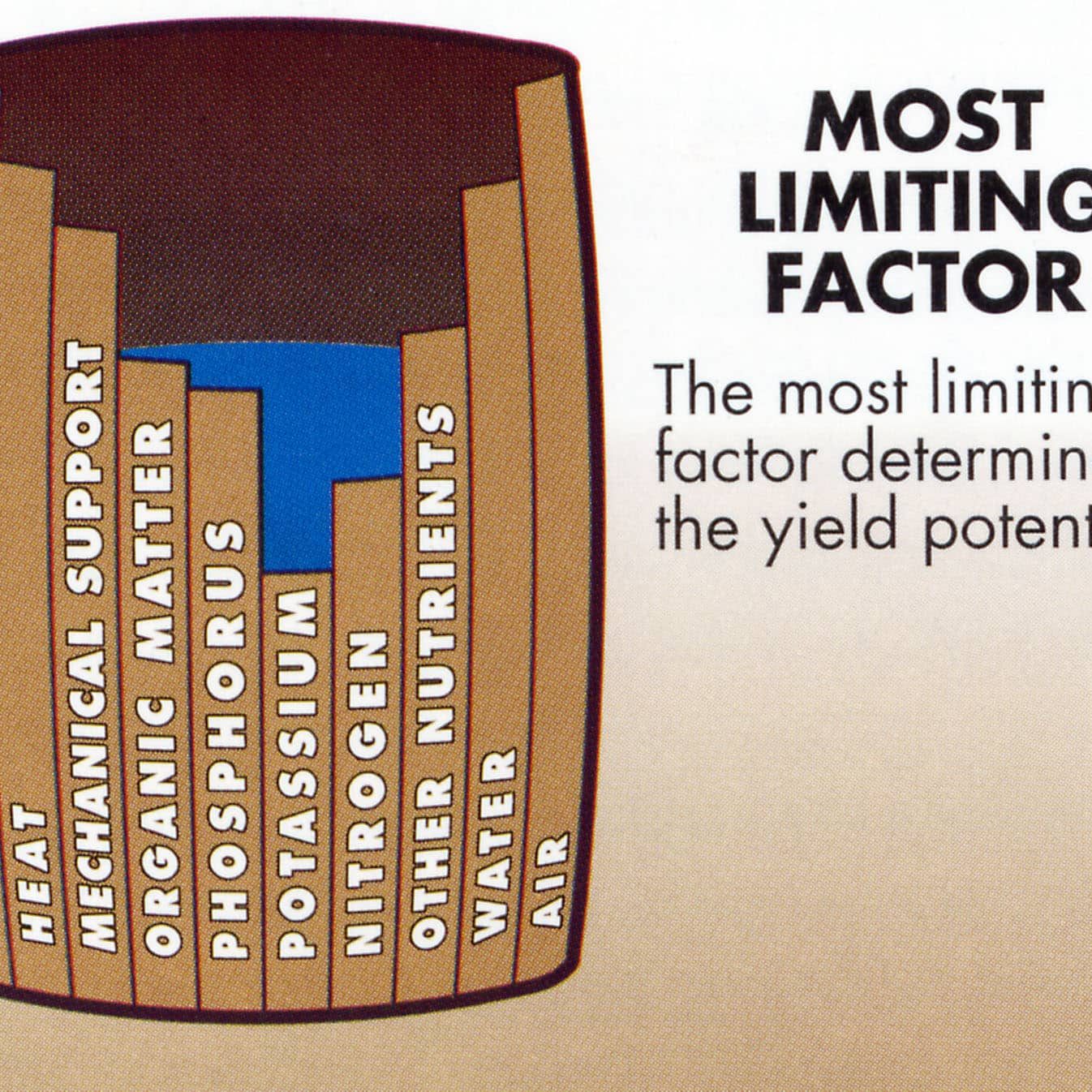 Limiting Factors Examples Ecosystems Populations And Limiting Factors