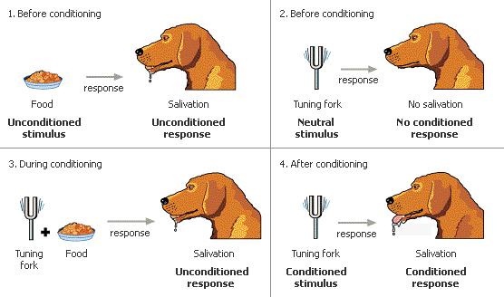 operant conditioning vs classical conditioning