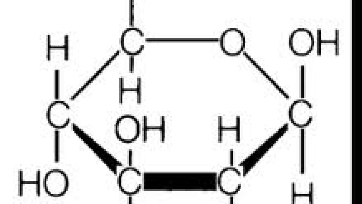 Biological Macromolecules: Carbohydrates | SchoolWorkHelper, image size:1200x675