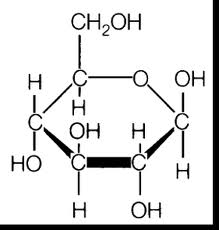 macromolecules examples