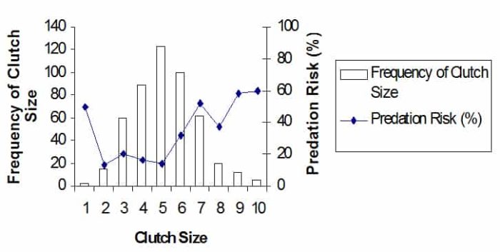 finch-nest-cluster