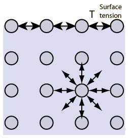 Wiley: Surface and Interfacial Forces - Hans-Jrgen Butt