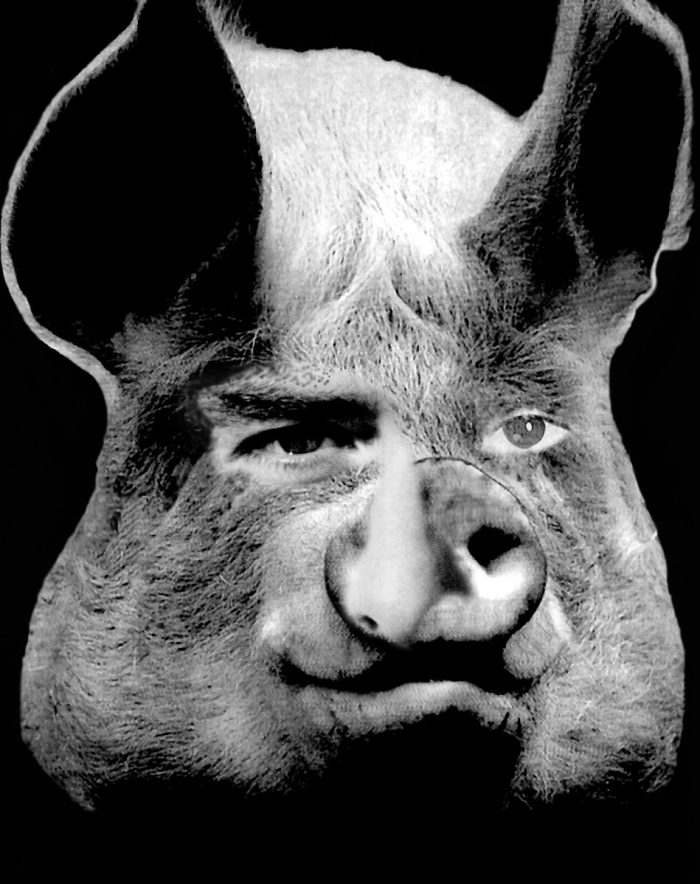 Animal-Farm-Allegory-Stalinism
