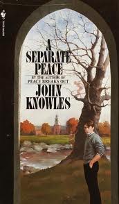 Реферат: A Separate Peace And A Real War