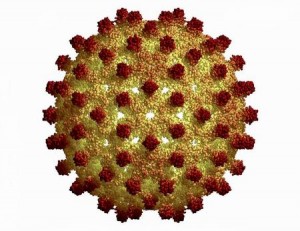 Hepatitis A B C D E G History Symptoms Causes Treatment