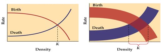 population-dynamics-cycles-fluctuation-extinction-schoolworkhelper