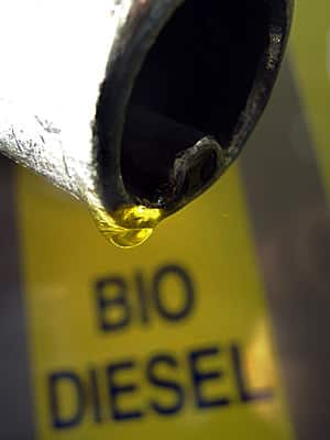 Biodiesel