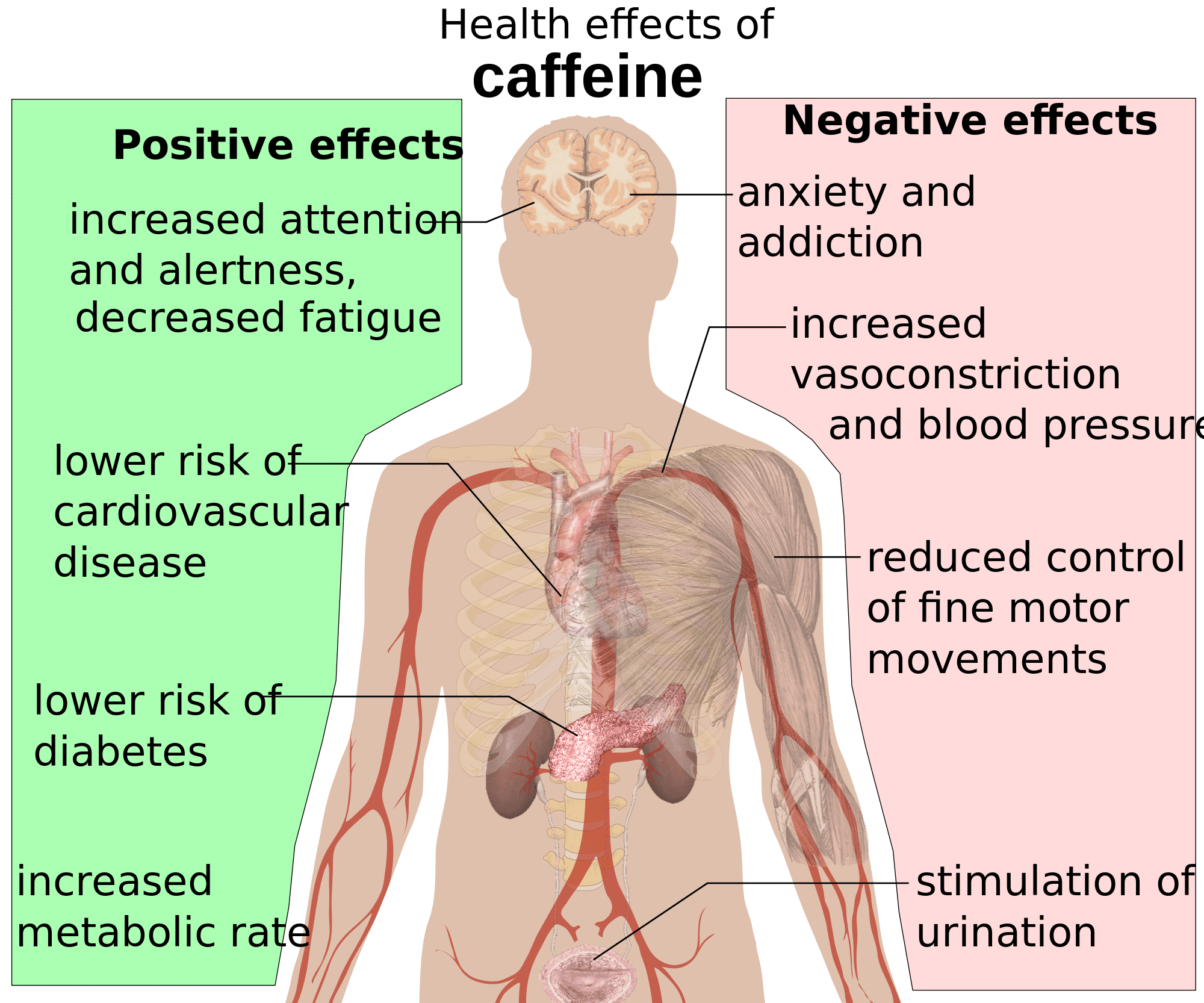 Health-effects-of-caffeine