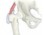 Ball-and-Socket-joint