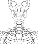 Pivot-neck-joint