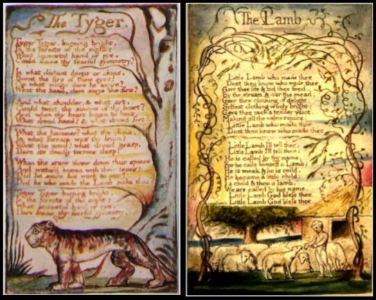 summary of the tiger by william blake