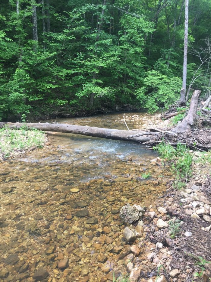 Mark-Twain-Two-Ways-of-Seeing-a-River