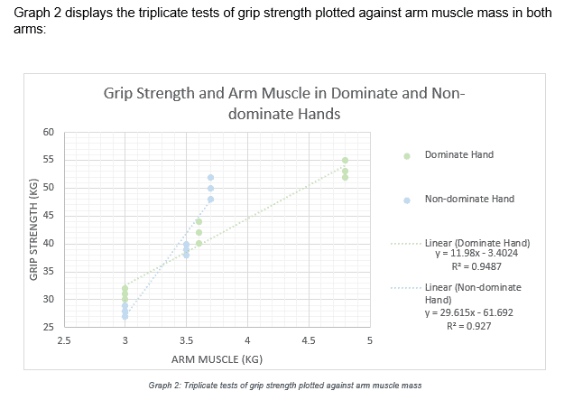 Graph2-muscle-size-grip-strength | Schoolworkhelper