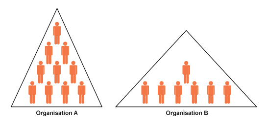 what is a tall organisational structure