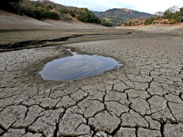 water-scarcity-and-privatization-schoolworkhelper