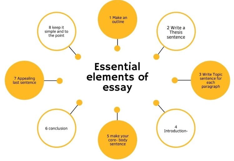5 components of an essay
