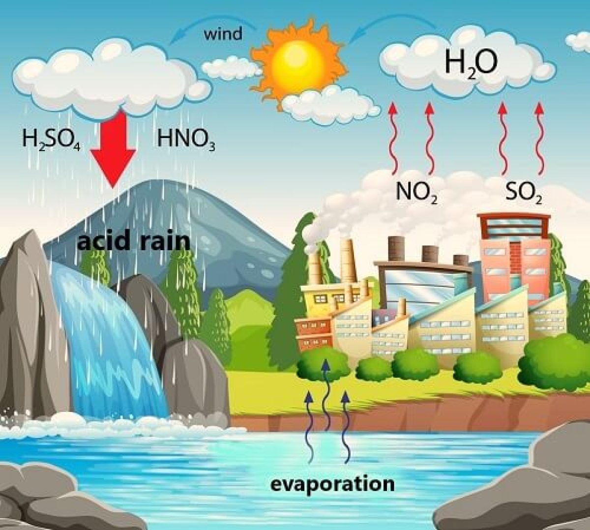 acid rain in a bag lab answers Acid Rain Experiment: Lab Report Explained