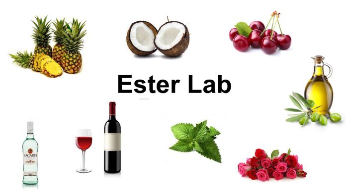Ester Lab