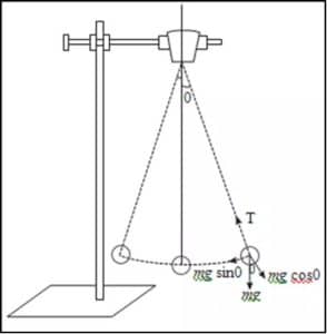 Simple Harmonic Motion Lab: Explained & Answers | SchoolWorkHelper