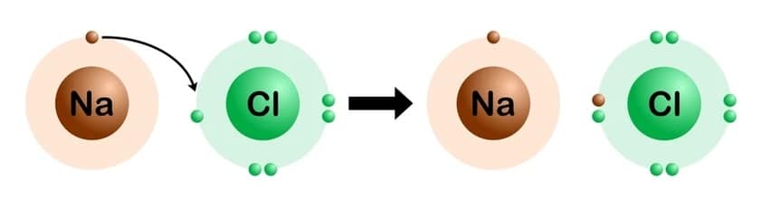 Lab Explained: Properties of the Ionic Compounds | SchoolWorkHelper